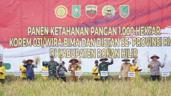 Sinergitas Pemkab Rohil Dengan Kodim 0321 Jaga Ketahanan Pangan.